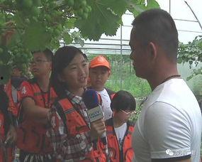 泉港记者爆料事件最新,揭开事件背后惊人真相