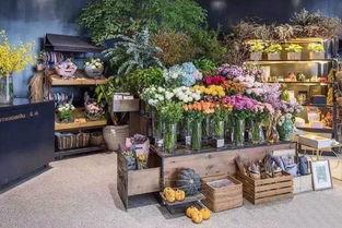 花店吃瓜视频爆料大全集,揭秘娱乐圈幕后风云 第3张 花店吃瓜视频爆料大全集,揭秘娱乐圈幕后风云 第3张